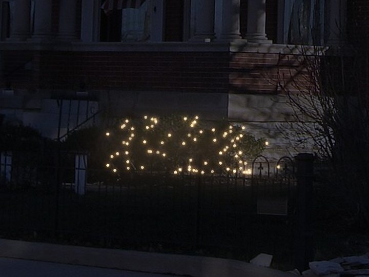 A shrub bed filled with mini lights.